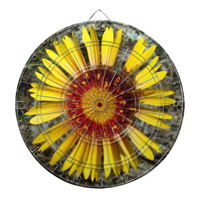 F1 Gul Vildblomma Gaillardia Darttavla (Framsidan)