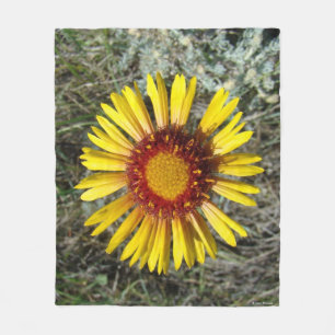 F1 Gul Vildblomma Gaillardia Fleecefilt