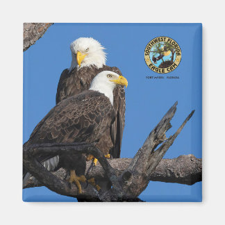 F23 & M15 - En ny era i kapslingen Magnet