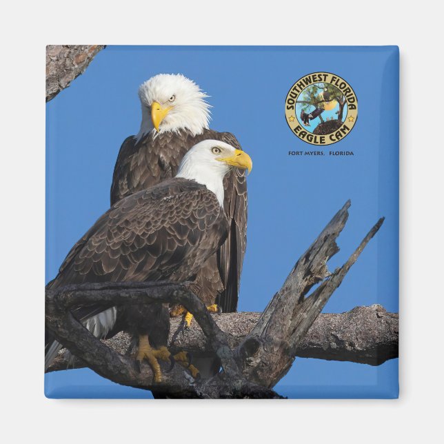 F23 & M15 - En ny era i kapslingen Magnet (Framsidan)