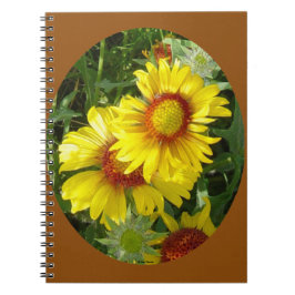F27 Gult Wildblommor Gaillardia Anteckningsbok