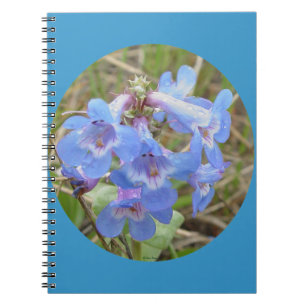 F28 Blå vilda blommor Slank blå skäggtunga Anteckningsbok