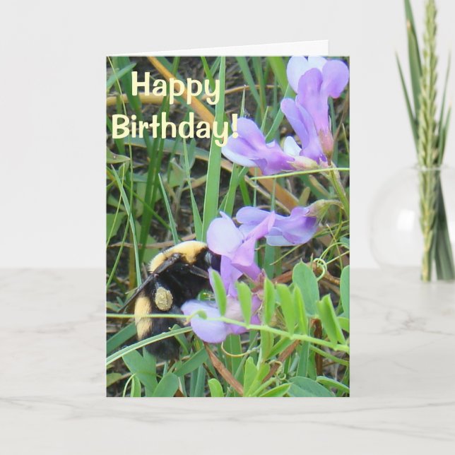 F2 Biet på lila vilda blommor Kort (Framsida)