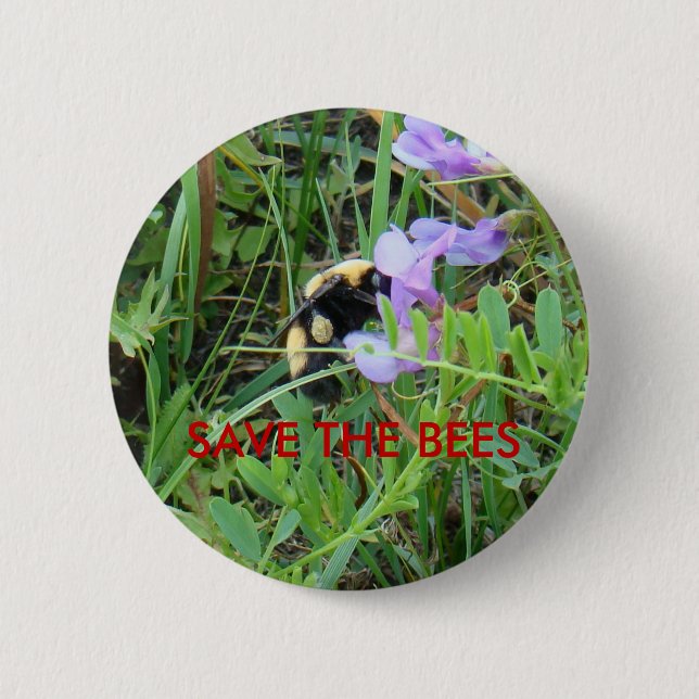 F2 Biet på lila vildblommor Knapp (Framsida)