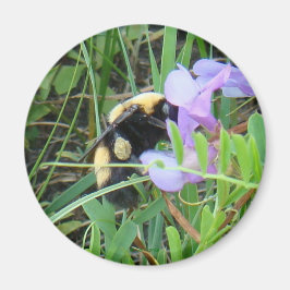 F2 Bin på Lila Wildblomma Magnet