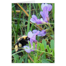 F2 Bin på Lila Wildblommor Hälsningskort