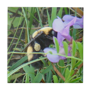 F2 Vildbin på lila vilda blommor Kakelplatta