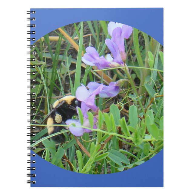 F32a Biet på lila vilda blommor Anteckningsbok (Framsidan)