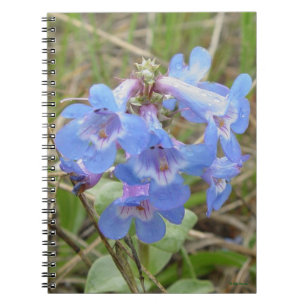 F3 Blå Vilda Blommor Slank Blå Skäggrört Anteckningsbok
