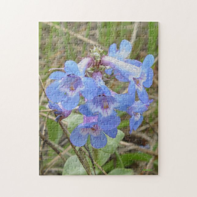 F3 Blå vilda blommor Slank blå skäggtunga Pussel (Vertikal)