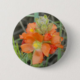 F40 Orange Wildblommor Scarlet Mallow Knapp