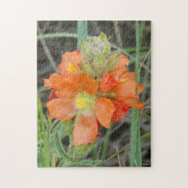 F40 Orange Wildblommor Scarlet Mallow Pussel
