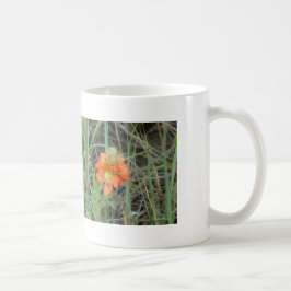 F40 Orangea vilda blommor scharlakansmalva Kaffemugg