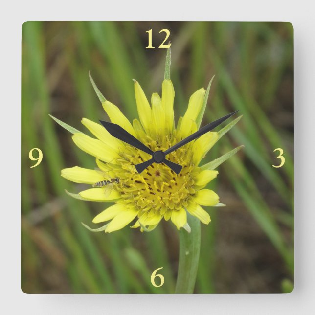 F41 Gul vild blommande Getterbart Fyrkantig Klocka (Framsida)
