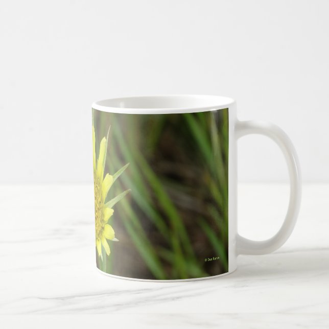 F41 Gult Wildblommor Goats-Beard Kaffemugg (Höger)