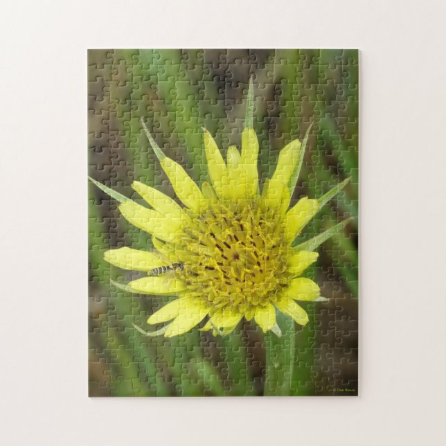 F41 Gult Wildblommor Goats-Beard Pussel (Vertikal)