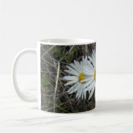 F42 Vita vilda blommor Slät aster Kaffemugg