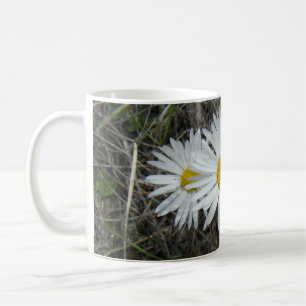 F42 Vita vilda blommor Slät aster Kaffemugg