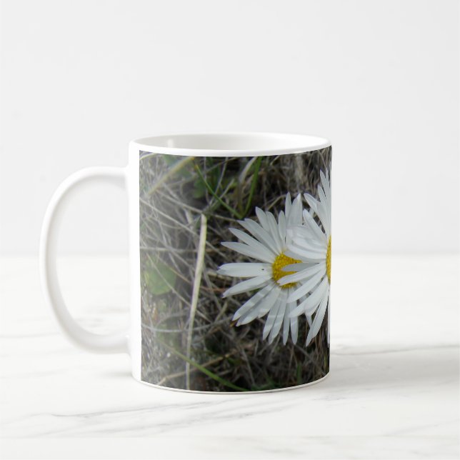 F42 Vita vilda blommor Slät aster Kaffemugg (Vänster)