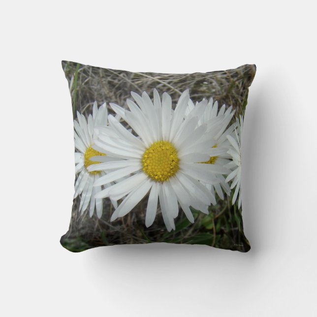 F42 Vita vildblommor Slät Aster Kudde (Framsida)
