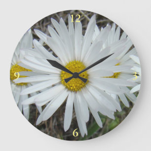 F42 Vita vildblommor Slät Aster Stor Klocka