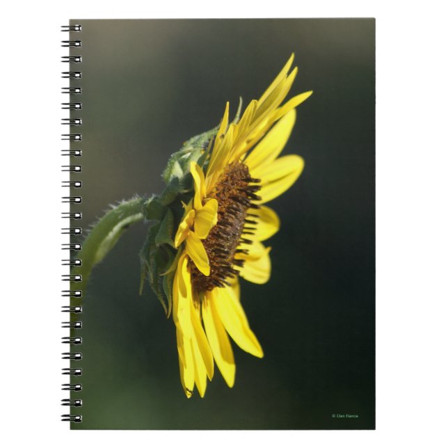 F43 Gul vildblomma Black-eyed Susan Anteckningsbok (Framsidan)