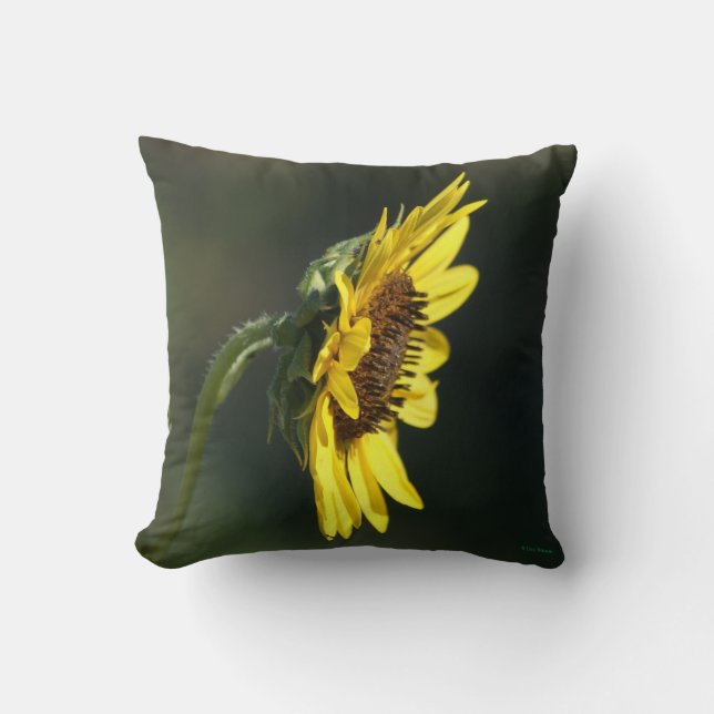 F43 Gul vildblomma Black-eyed Susan Kudde (Framsida)