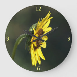 F43 Gul vildblomma Svartögda Susan Stor Klocka