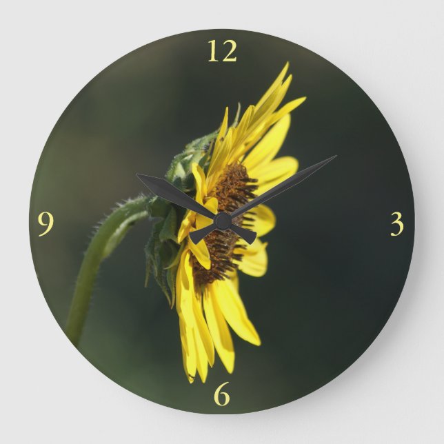 F43 Gul vildblomma Svartögda Susan Stor Klocka (Framsida)