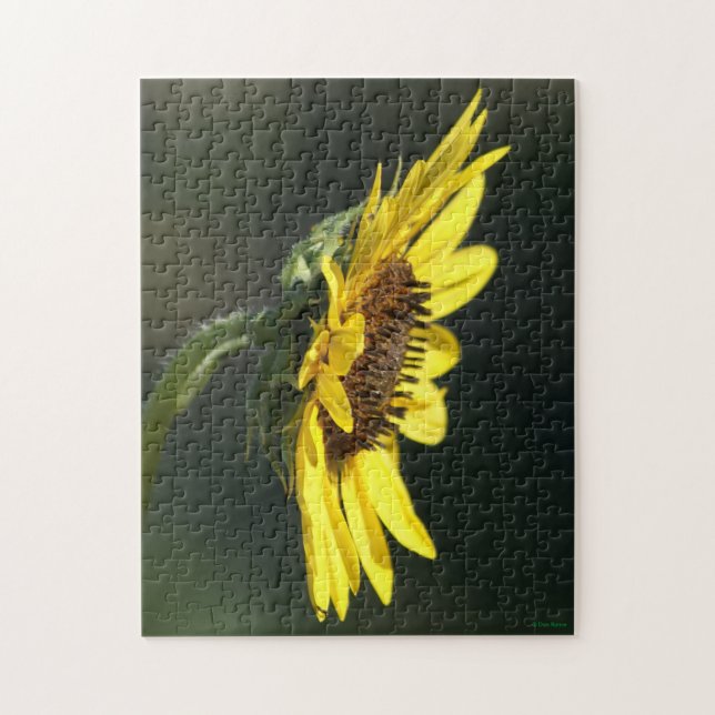 F43 Gult Wildbloms Svartögda Susan Pussel (Vertikal)