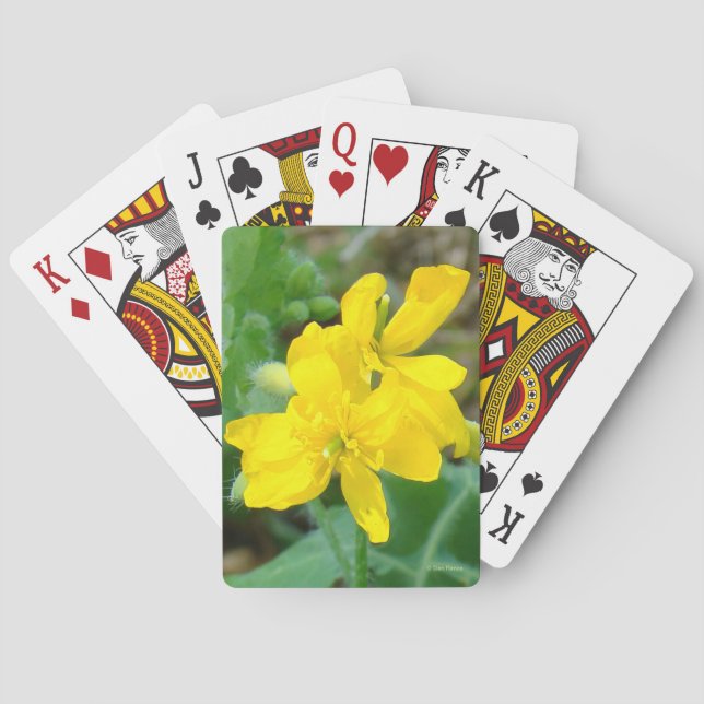 F44 Gula vildblommor Vildsenap Casinokort (Baksidan)