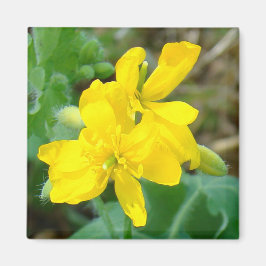 F44 Gula vildblommor Vildsenap Magnet