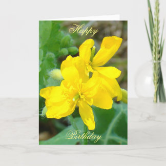 F44 Gult Wildblommor Vild Mustard Kort