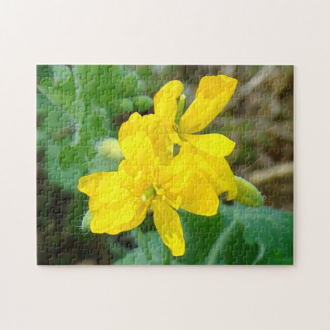 F44 Gult Wildblommor Vild Mustard Pussel (Horisontell)