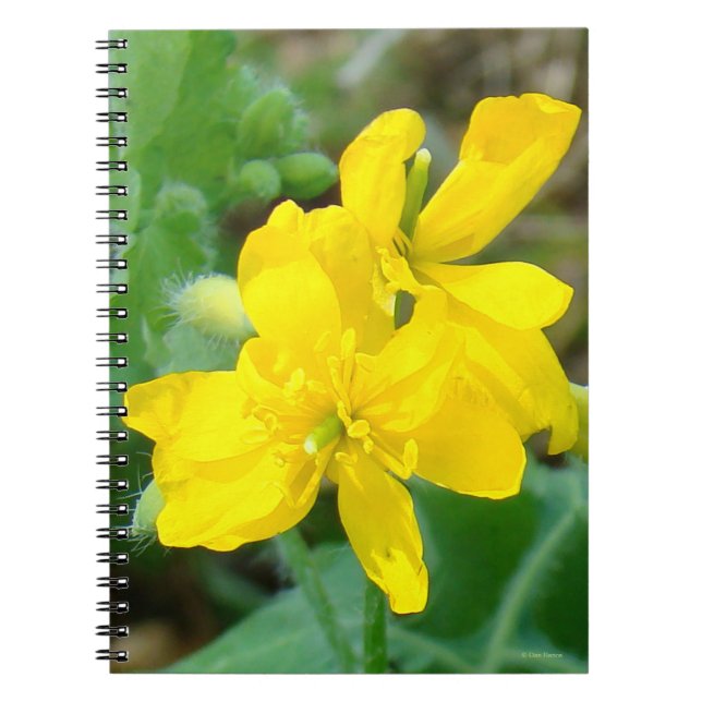 F44 Gult Wildbloms Vild Mustard Anteckningsbok (Framsidan)