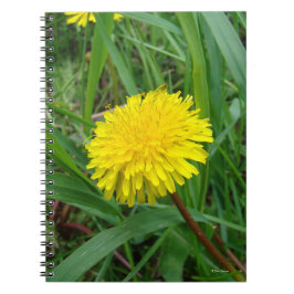 F45 Dandelion Anteckningsbok