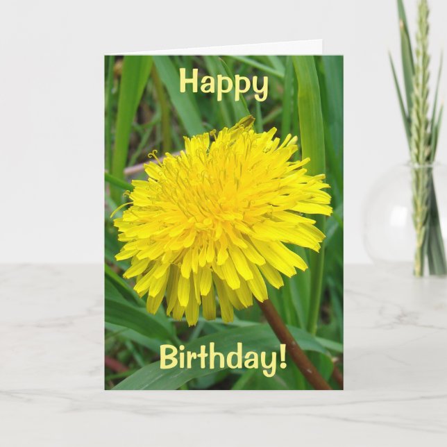 F45 Dandelion "Taraxacum officinale" Kort (Framsida)