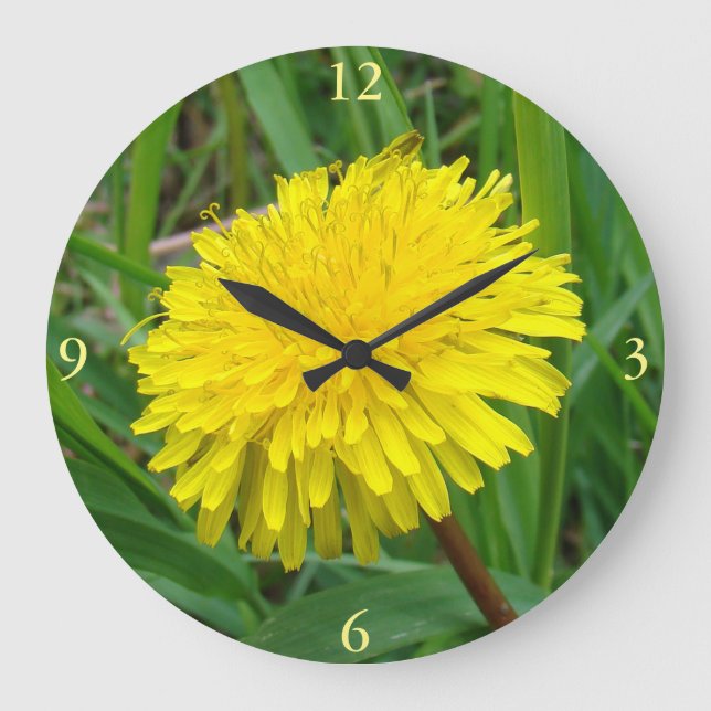 F45 Dandelion ’Taraxacum officinale’ Stor Klocka (Framsida)