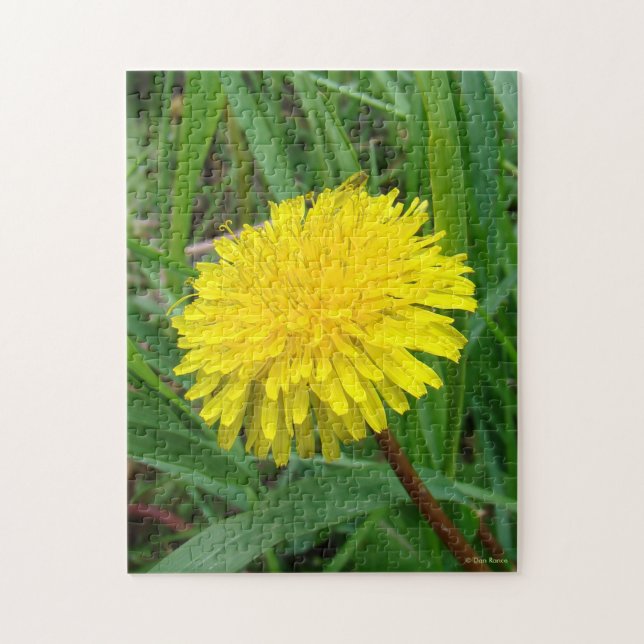 F45 Maskros "Taraxacum officinale" Pussel (Vertikal)