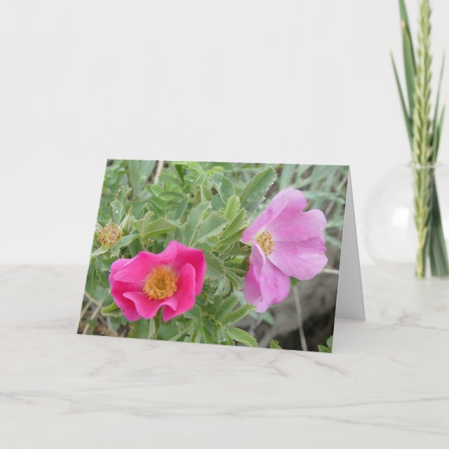 F4 Vilda Rosor Kort (Framsida)