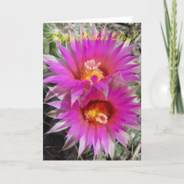 F5 Boll Cactus Flowers "Escobaria vivivipara" Kort