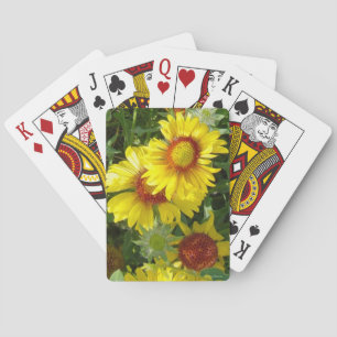 F6 gula vildblommor Gaillardia Casinokort