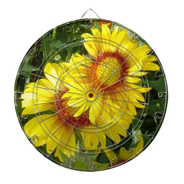 F6 Gula vildblommor Gaillardia Darttavla (Framsidan)