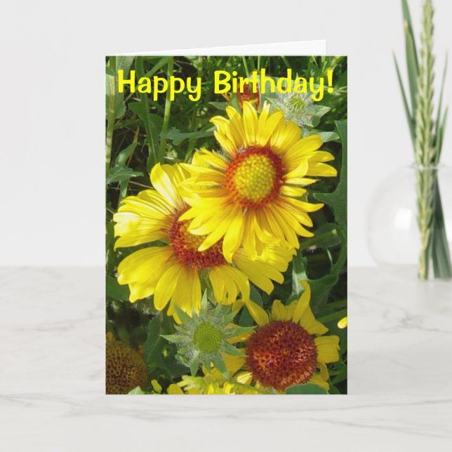 F6 Gula vildblommor Gaillardia Kort (Framsida)