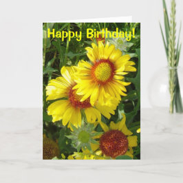 F6 Gula vildblommor Gaillardia Kort