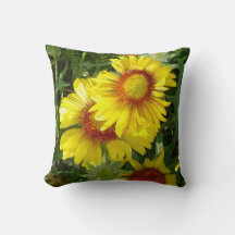 F6 gula vildblommor Gaillardia