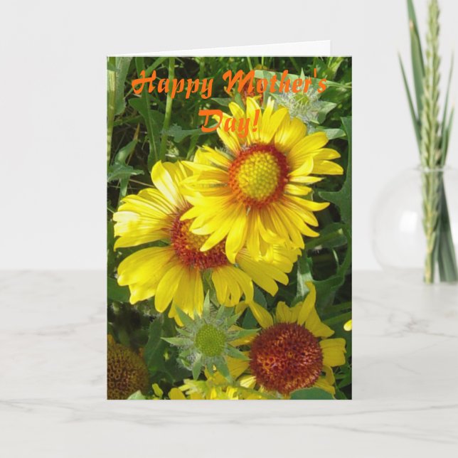 F6 Gult Gaillardia Kort (Framsida)