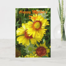 F6 Gult Gaillardia