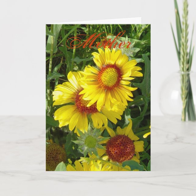 F6 Gult Gaillardia Kort (Framsida)