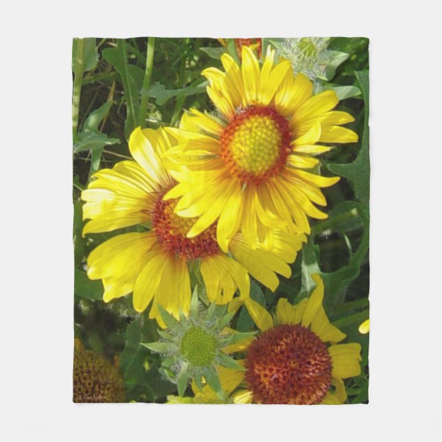F6 Gult Wildblommor Gaillardia Fleecefilt (Framsidan)